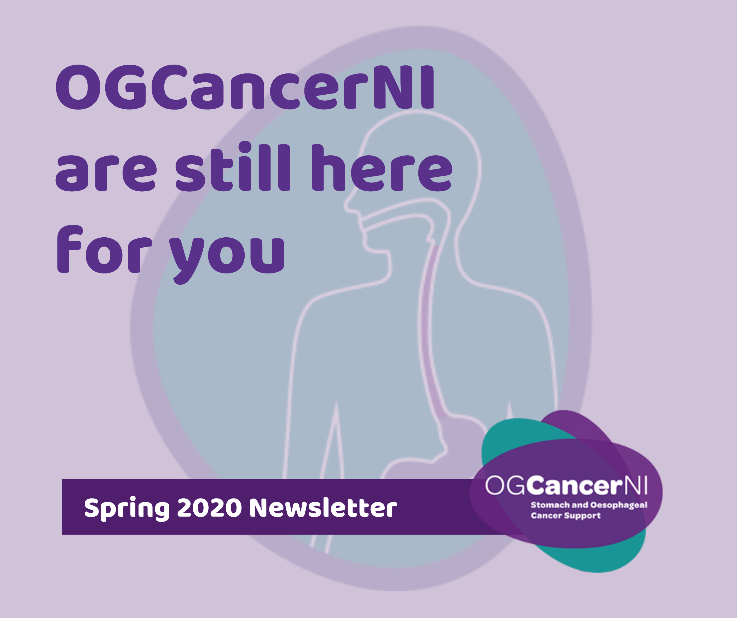 Spring 2020 Newsletter